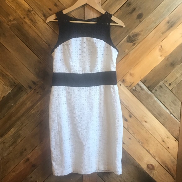 The Limited Dresses & Skirts - The Limited navy blue and white dress